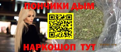 гидра Гатчина
