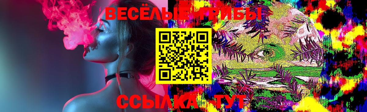 купить  цена  Псилоцибиновые грибы Psilocybine cubensis  Новороссийск  Вход с VPN  Галлюциногенные грибы Cubensis 